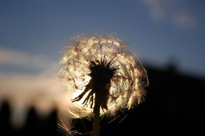 Прикрепленное изображение: 1214r1.jpg